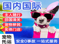 黑河瑷珲航空物流国际宠物托运 【国